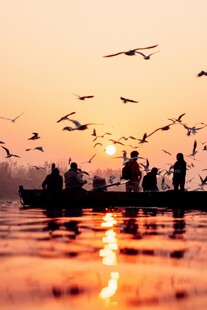 夕阳下泛舟观飞鸟景象