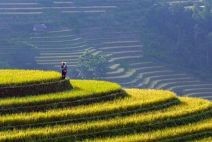 高清图-自然风景