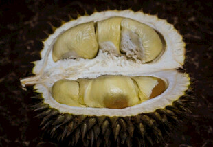 榴莲