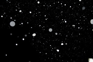 黑色背景下的白色雪花飘落物
