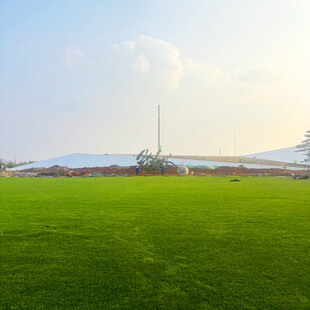 广阔绿草地与远处建筑