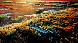 旷野中的废弃小船