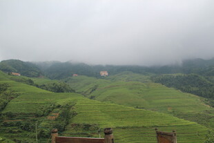 云雾缭绕的绿色梯田美景