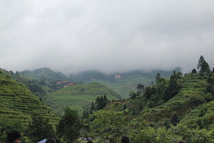 云雾缭绕的翠绿山峦