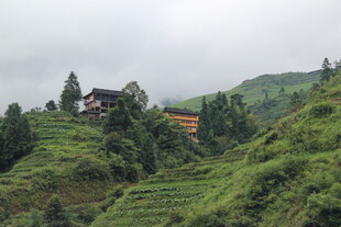 山间村落隐于葱郁梯田