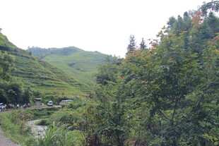 山间翠绿景色 蜿蜒小路