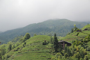 山间绿野中的静谧小屋