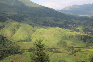 山间绿野风光