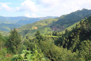 青山绿野间的秀丽自然景观