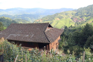 山间木屋隐于葱郁山林