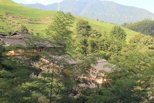 山间村落隐于葱郁绿意中