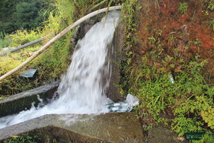 山间溪流潺潺而下