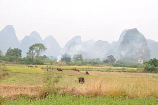 田园山水间的静谧风光