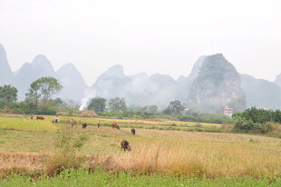 田园山水间的农忙景象