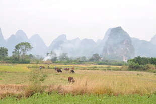 田园山水间的悠然景致