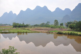 山水相映的宁静田园风光