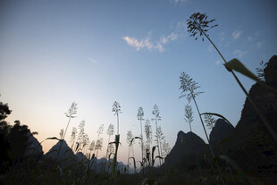 夕阳下的野草与远山