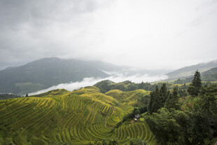 山间梯田美景 云雾缭绕