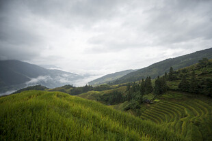 山间绿野梯田美景