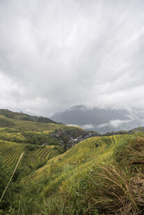 山间绿野 云雾缭绕之景