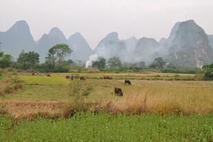 田园牧歌般的山水风光