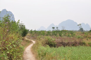 乡间小径 远山近景