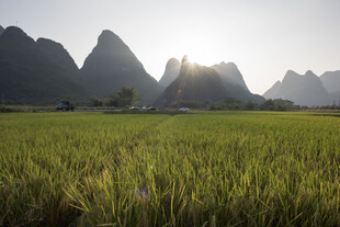 田园风光中的壮丽山峦
