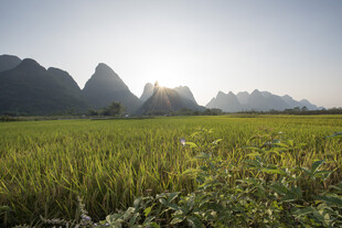 田园山水间的绝美日出