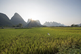 田园山水间的美丽风光