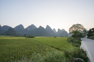 田园山间小路 风光如画