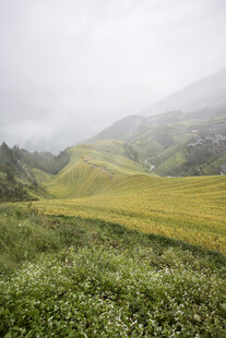 山间绿野 云雾中的诗意景致