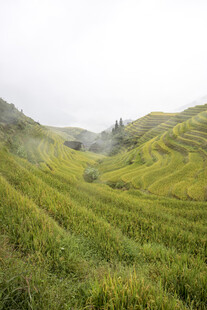 山间绿野梯田美景