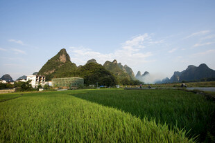 田园风光中的青山绿田