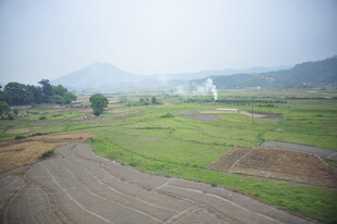 田园风光中的开阔田野