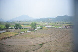 乡村田野风光美景