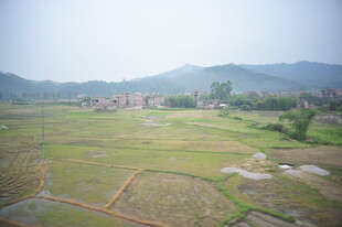 乡村田野风光俯瞰图