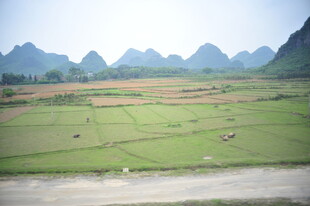 田园山水风光美景