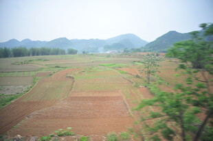 田园风光 广袤田野与远山