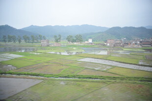 乡村田野水田风光景色