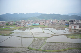 乡村水田与错落民居景观