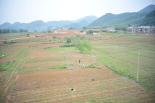 乡村田野风光远眺