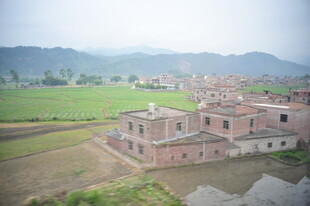 乡村聚落 田野边的建筑群