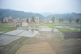 乡村水田与远处村落景观