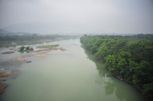 蜿蜒河流旁的葱郁景致