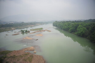 蜿蜒河流与两岸葱郁植被