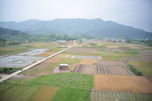 田园风光 多彩农田美景