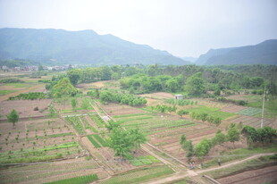 田园风光俯瞰图