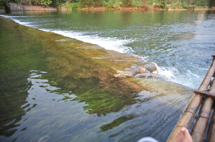 乘竹筏赏清澈河流风光