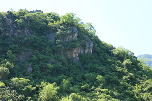 青山绿树间的秀丽山景