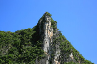 巍峨青山 绿意盎然